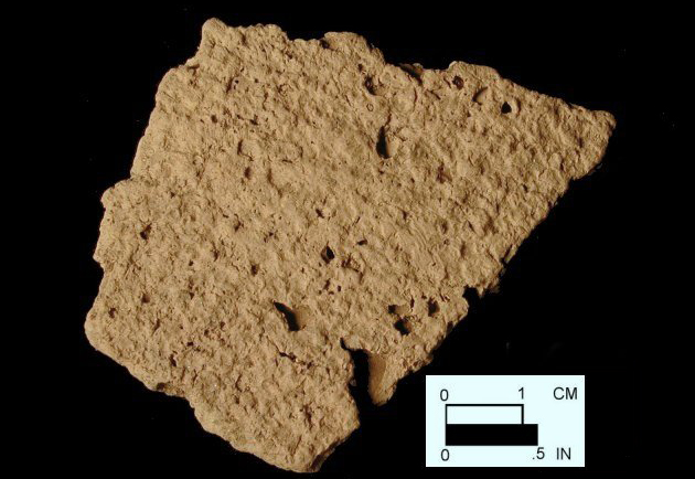 Mockley net-impressed body sherd from Dorr Site 18AN19/133.